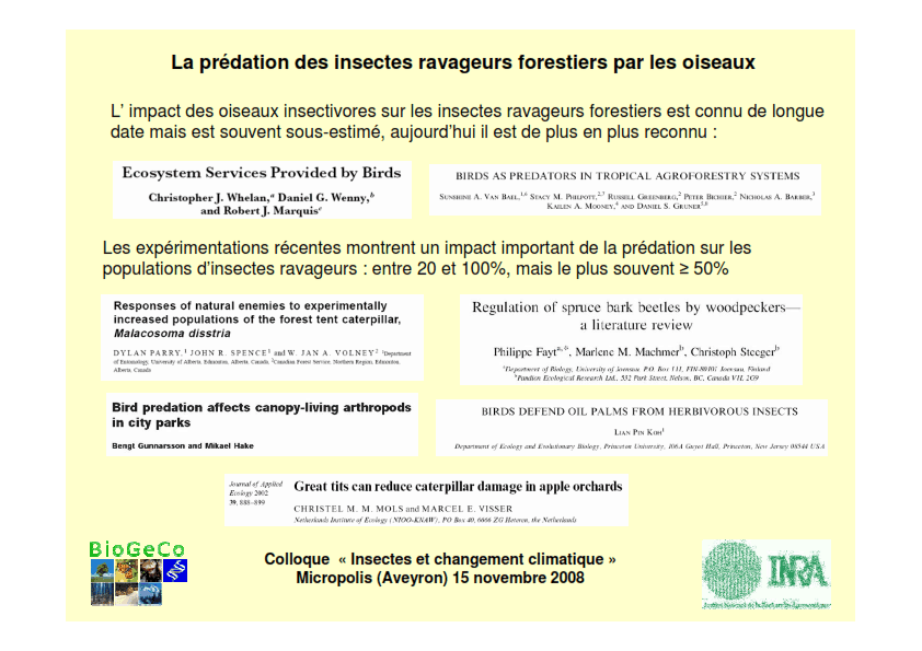 Les oiseaux insectivores prédateurs de la processionnaire du pin