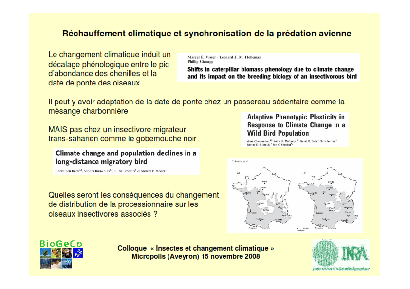 Réchauffement climatique et synchronisation de la prédation avienne