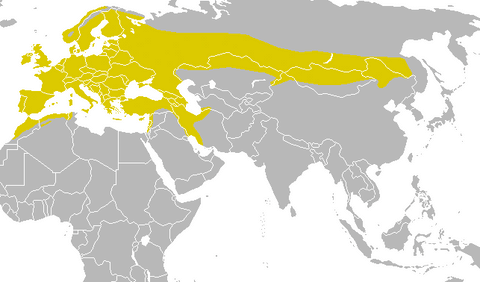 répartition géographique de la mésange charbonnière